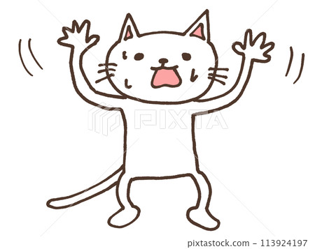 Impatient White Cat Impatient White Cat 113924197