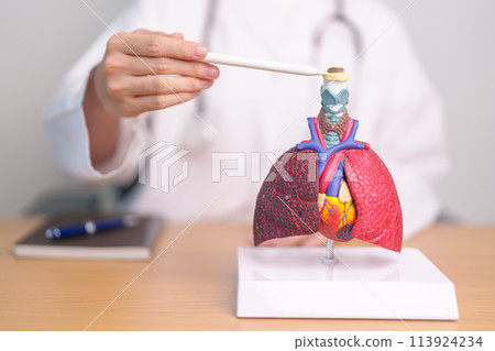 Doctor pointing Hyoid Bond of Respiratory system anatomy for Diseases. Lung Cancer, Asthma, Chronic Obstructive Pulmonary or COPD, Bronchitis, Emphysema, Cystic Fibrosis, Bronchiectasis and Pneumonia Doctor pointing Hyoid Bond of Respiratory system anatomy for Diseases. Lung Cancer, Asthma, Chronic Obstructive Pulmonary or COPD, Bronchitis, Emphysema, Cystic Fibrosis, Bronchiectasis and Pneumonia 113924234