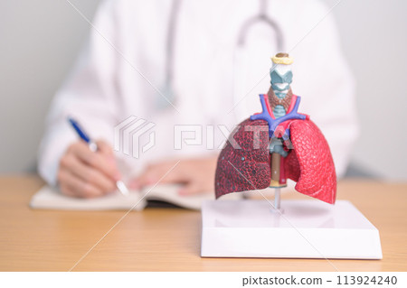 Doctor with Smoker and normal Lung anatomy for Disease. Lung Cancer, Asthma, Chronic Obstructive Pulmonary or COPD, Bronchitis, Emphysema, Cystic Fibrosis, Bronchiectasis, Pneumonia and world Lung day 113924240