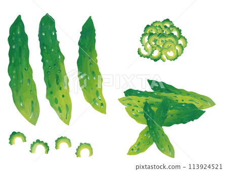 水彩風苦瓜套裝 水彩風苦瓜套裝 113924521