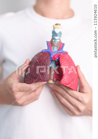woman hold Smoker anatomy for Disease. Lung Cancer, Asthma, Chronic Obstructive Pulmonary or COPD, Bronchitis, Emphysema, Cystic Fibrosis, Bronchiectasis, Pneumonia and world Lung day concept 113924610