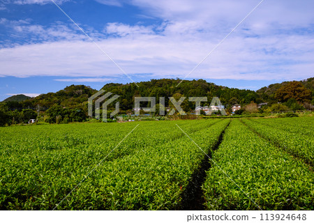 三藏戰役戰場遺址風景 三藏戰役戰場遺址風景 113924648