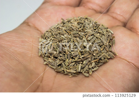 A picture of cumin with selective focus 113925129