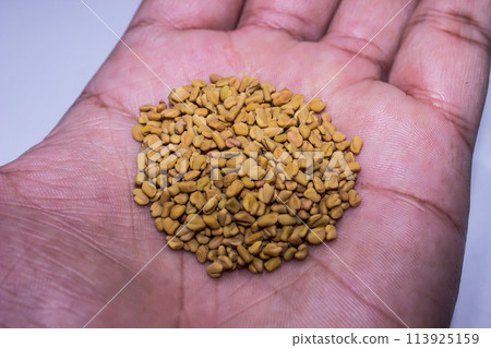 A picture of fenugreek with selective focus A picture of fenugreek with selective focus 113925159