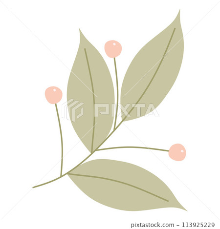 Flat Green branch with Leaves and Berries. Vector illustration isolated on white background. Cartoon Foliage, Botany object, Sweet Spring Design for Wedding Invitation, Card, Postcard. Nature ornament Flat Green branch with Leaves and Berries. Vector illustration isolated on white background. Cartoon Foliage, Botany object, Sweet Spring Design for Wedding Invitation, Card, Postcard. Nature ornament 113925229