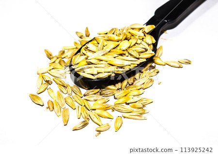 A picture of barley seeds isolated on white background A picture of barley seeds isolated on white background 113925242