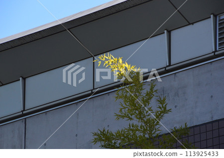 Tama, Hachioji, Kitano-cho is a nice place Tama, Hachioji, Kitano-cho is a nice place 113925433