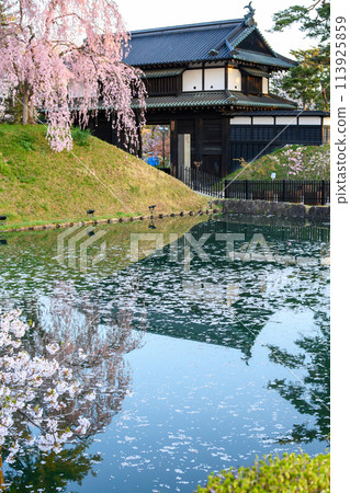 青森縣弘前城，清晨的陽光開始照耀大手門前的垂枝櫻花 113925859