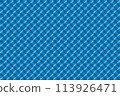 全像安裝影像鏡頭 113926471