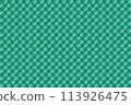 全像安裝影像鏡頭 113926475