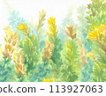 Watercolor painting of lush grass Watercolor painting of lush grass 113927063