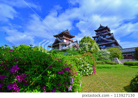 茅草和伏見桃山城 113927130
