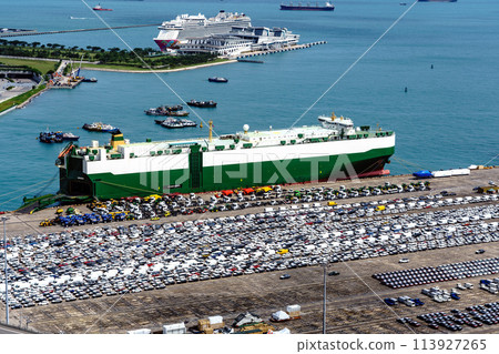 車輛運輸船停泊在集裝箱碼頭 113927265