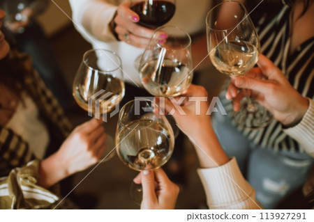 Friends enjoy a cheerful toast with white wine glasses Friends enjoy a cheerful toast with white wine glasses 113927291
