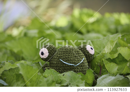 Cute knitted frog toy in the garden Cute knitted frog toy in the garden 113927633