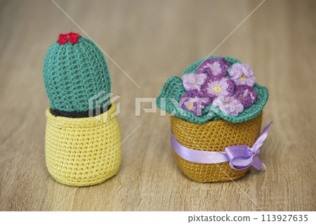 Knitted toys cactus and violet on the floor 113927635