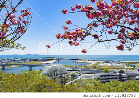 Ishinomaki City Hiyoriyama Shrine 113928788