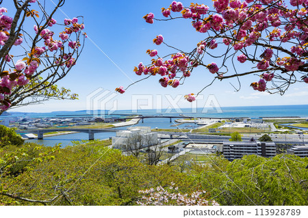石卷市日和山神社 石卷市日和山神社 113928789