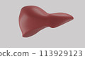 A 3D model of a human liver displayed on a gray background, surrounded by kitchen utensils and ingredients. The color scheme includes magenta and carmine, resembling natural foods 113929123
