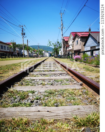 Miya line site 113929124