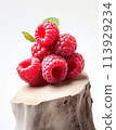 piece of fresh raspberries 113929234