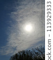 Big Dragon Cloud 113929333