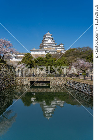 Himeji City, Hyogo Prefecture: Himeji Castle and cherry blossoms reflected in the moat 113929819
