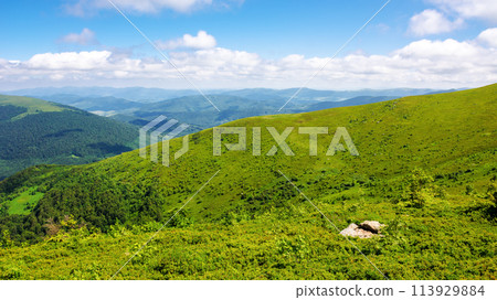alpine grassy hills. carpathian landscape of ukraine on a sunny summer day. mountainous scenery with view in to the distant valley beneath a blue sky with fluffy clouds alpine grassy hills. carpathian landscape of ukraine on a sunny summer day. mountainous scenery with view in to the distant valley beneath a blue sky with fluffy clouds 113929884