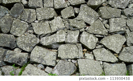 Tsu Castle Ruins_Stone Wall 113930438