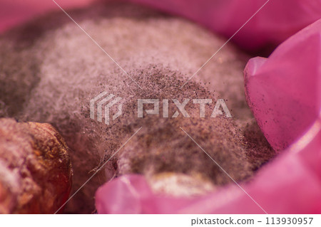 The mycelium of putrefactive mold fungi covered the organic substrate in the form of carrots. The spore-bearing heads are ready for the spores to spread into surrounding space, macro, close up photo 113930957