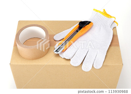 Packing image 113930988