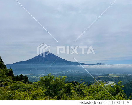 夏天從井之頭看到的朝霧高原和富士山 113931139