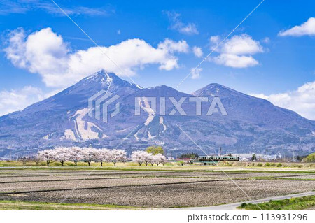 Spring cherry blossom trees lined Mount Bandai and a train on the Ban'etsu West Line, Inawashiro Town, Fukushima Prefecture 113931296