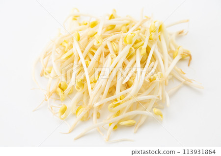 Soybean sprouts (bean sprouts) on a white background 113931864