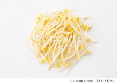 白色背景上的黃豆芽(豆芽) 白色背景上的黃豆芽(豆芽) 113931868