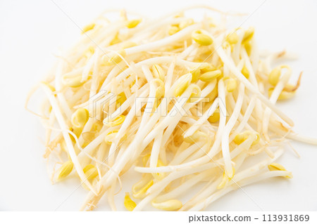 白色背景上的黃豆芽（豆芽） 113931869