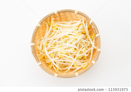 Soybean sprouts (bean sprouts) on a white background Soybean sprouts (bean sprouts) on a white background 113931973