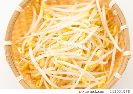 白色背景上的黃豆芽(豆芽) 白色背景上的黃豆芽(豆芽) 113931978