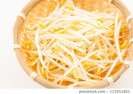Soybean sprouts (bean sprouts) on a white background 113931981