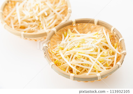 白色背景中的黃豆芽(豆芽)和綠豆芽 白色背景中的黃豆芽(豆芽)和綠豆芽 113932105