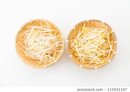 白色背景中的黃豆芽（豆芽）和綠豆芽 113932107