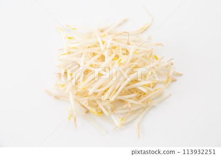 白色背景上的豆芽 白色背景上的豆芽 113932251