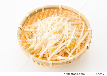 白色背景上的豆芽 113932257