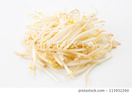 白色背景上的豆芽 113932260