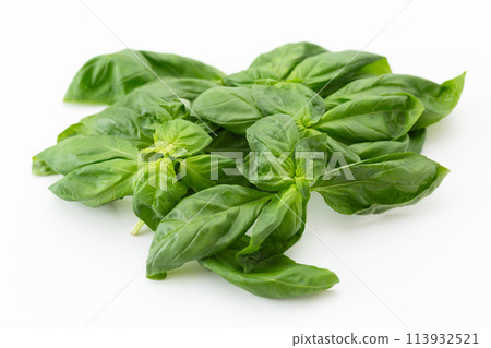 Sweet basil on a white background Sweet basil on a white background 113932521