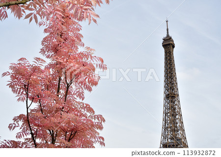 Paris, France. Red-leafed trees and the Eiffel Tower at Trocadero Square on April 14, 2024. Paris, France. Red-leafed trees and the Eiffel Tower at Trocadero Square on April 14, 2024. 113932872