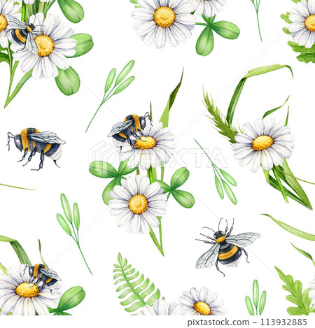 Bee on a daisy flower seamless pattern. Watercolor illustration. Summer meadow flowers with bumblebee floral decor. Bees on a white daisy flowers, green leaves seamless pattern. White background 113932885