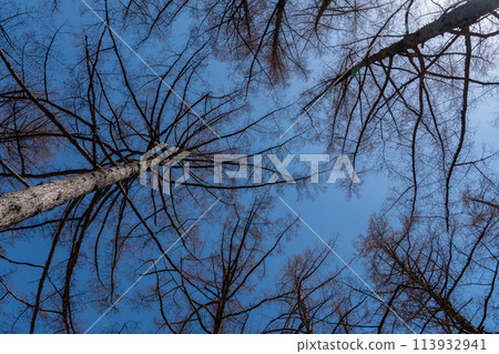 Kamikochi Kamikochi 113932941