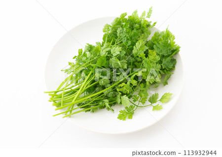 Chervil on a white background Chervil on a white background 113932944