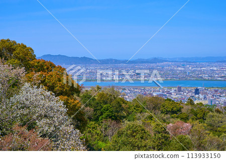 從德島縣德島市眉山町眉山公園眺望德島市(北側) 從德島縣德島市眉山町眉山公園眺望德島市(北側) 113933150